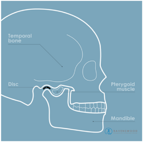Basic Tmj TMJ Chiropractor Chicago | Jaw Pain Treatment | RennWellness